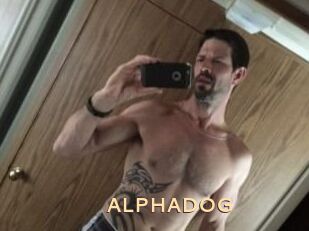 ALPHADOG