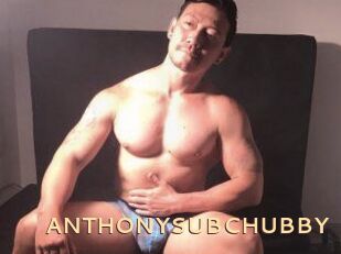 ANTHONYSUBCHUBBY