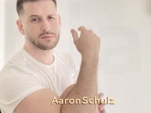 AaronSchulz