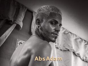 AbsAdam