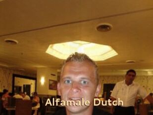 Alfamale_Dutch