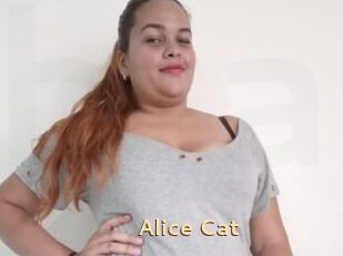 Alice_Cat