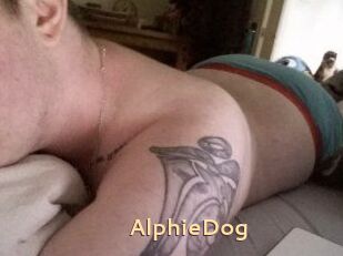 Alphie_Dog