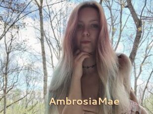 AmbrosiaMae