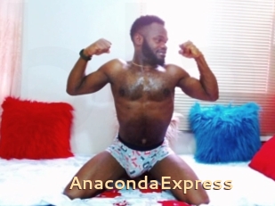 AnacondaExpress