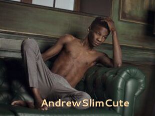 AndrewSlimCute