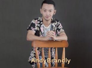 AndyBrandly