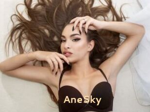 AneSky