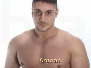 Antoan