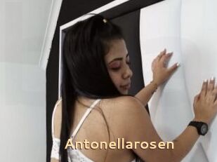 Antonellarosen