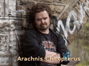 Arachnis_Chiropterus