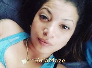 Aria_Maze