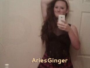 AriesGinger