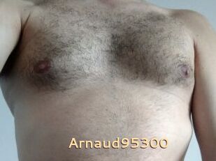 Arnaud95300