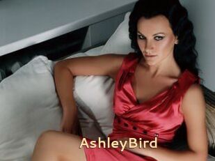 AshleyBird