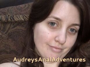 AudreysAnalAdventures