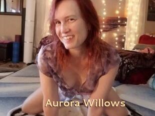 Aurora_Willows