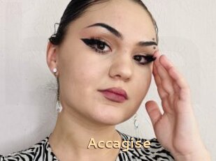 Accagise