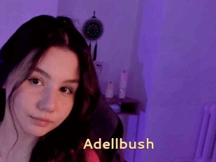 Adellbush