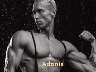 Adonis