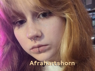 Afrahartshorn