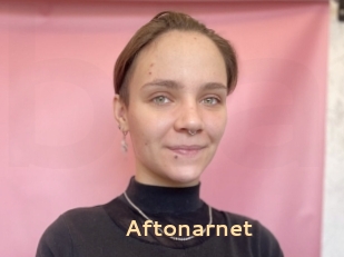 Aftonarnet