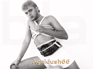 Agnidush66