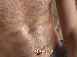 Aguysky