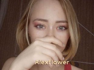 Alexflower