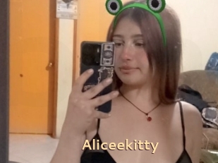 Aliceekitty