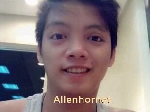 Allen_hornet