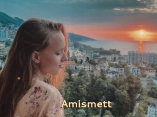 Amismett