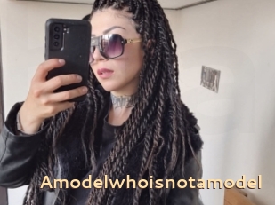 Amodelwhoisnotamodel