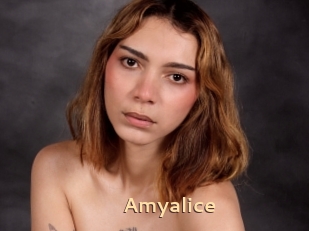 Amyalice