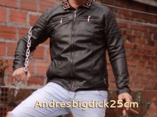 Andresbigdick25cm