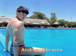 Andrewdibracco