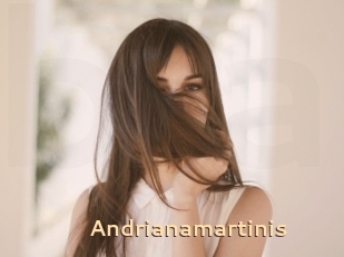 Andrianamartinis