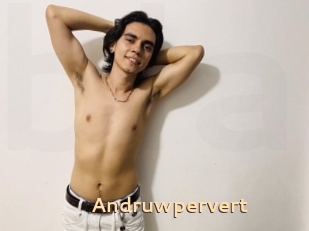 Andruwpervert