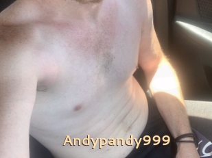 Andypandy999