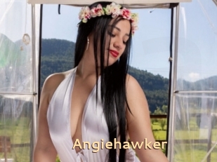 Angiehawker