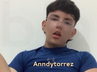 Anndytorrez