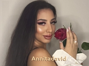 Annitadavid