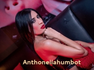 Anthonellahumbot