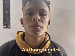 Anthonybigdick