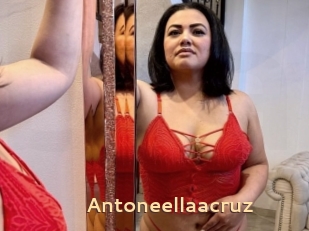 Antoneellaacruz