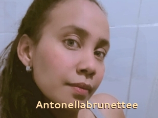 Antonellabrunettee