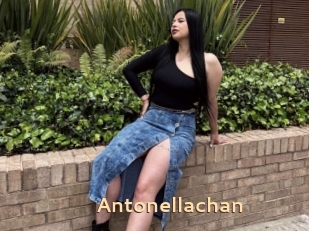 Antonellachan