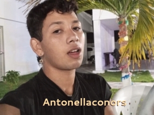 Antonellaconors