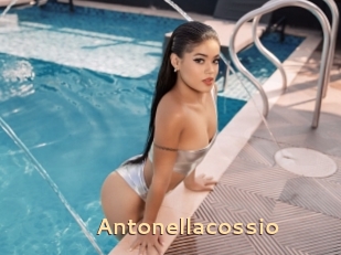 Antonellacossio