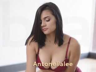 Antonellalee